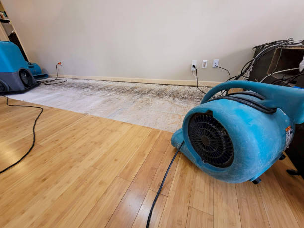 Professional Flood Damage Cleanup technician working in Red Bank, NJ